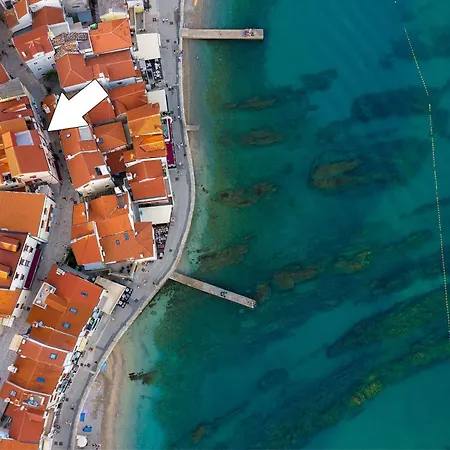 Tea Baška